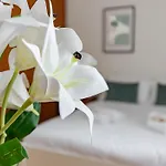 Hostly Bonaini Grand In Center Apartament Piza